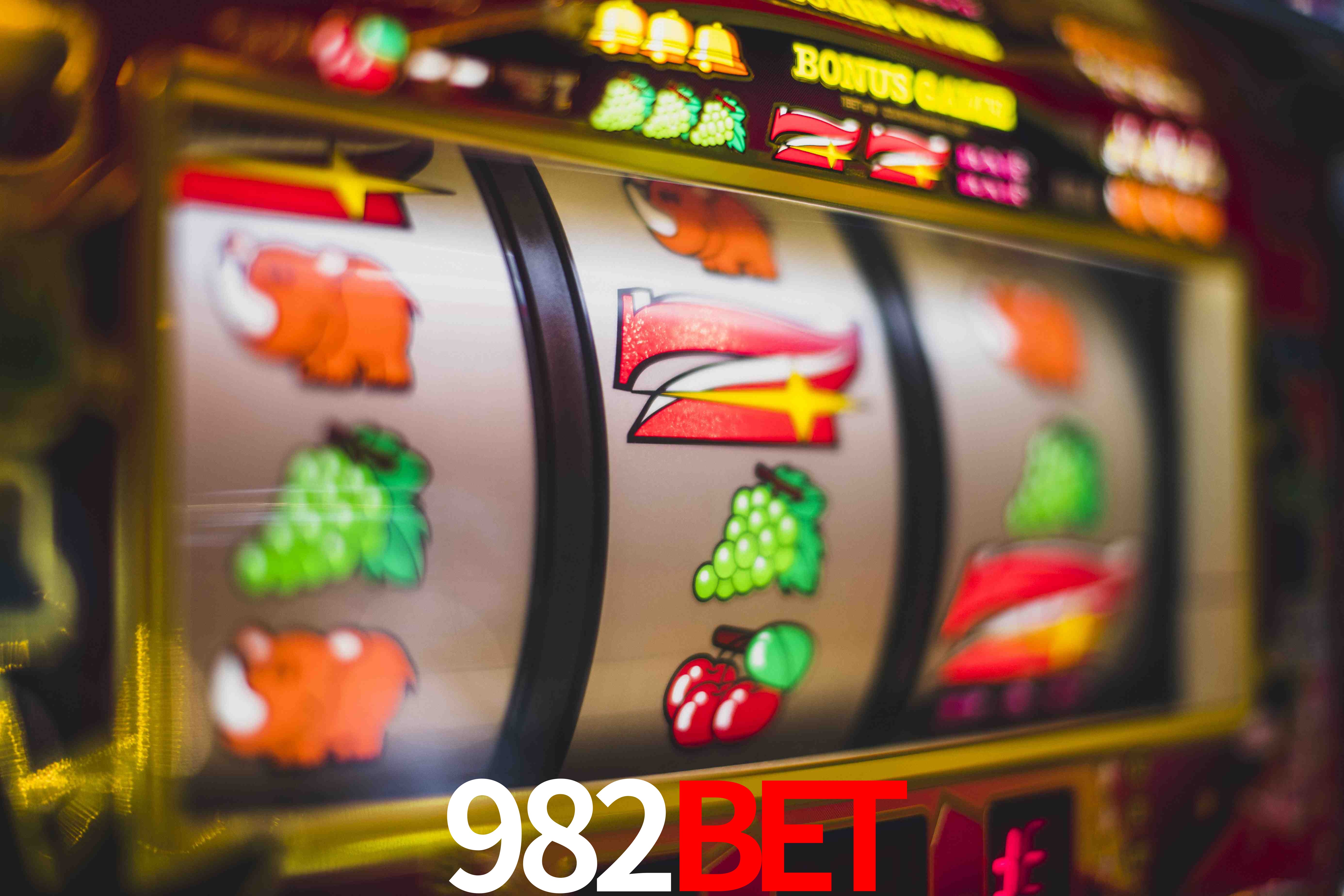 Experiência VIP 982bet